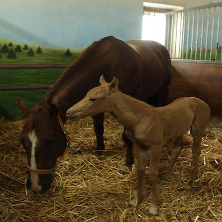 Ranc Milovice Milovice (Zlin) Ngoại thất bức ảnh